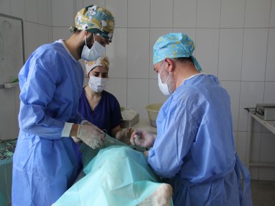 Bayburt’ta Sokak Hayvanlarına 7/24 Sevgi Nöbeti