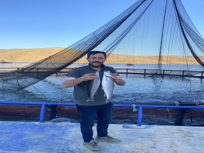 Demirözü’nden Dünyaya Somon İhracatı: 105 Ton Balık Yola Çıktı