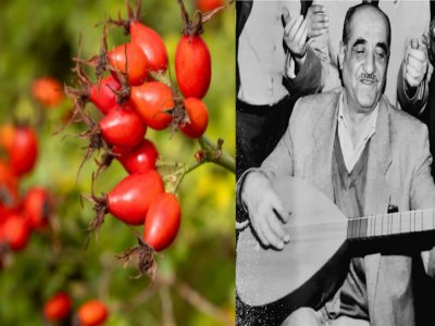 KUŞBURNU ZAMANI - Kuşburnu Derde Derman - Kuşburnunun Kurusu Tarinnam 