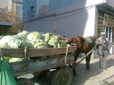 Şimdi Kelem (Lahana) Zamanı: Dolmalar Sarıldı Mı, Nerede Hani?