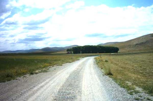 Demirözü