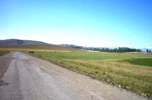 Demirözü