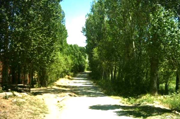 Demirözü