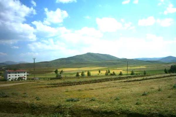 Demirözü