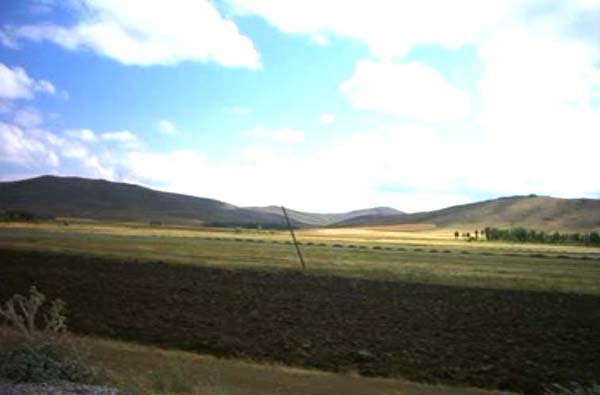 Demirözü