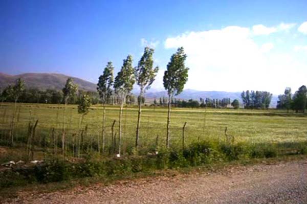 Demirözü