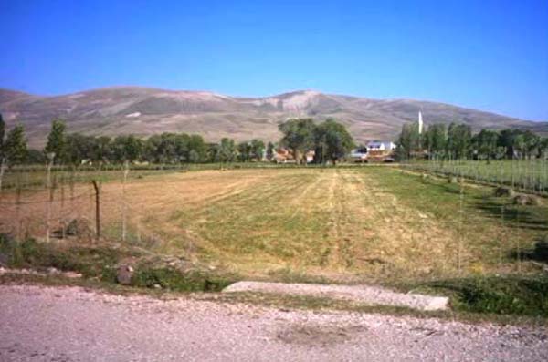 Demirözü