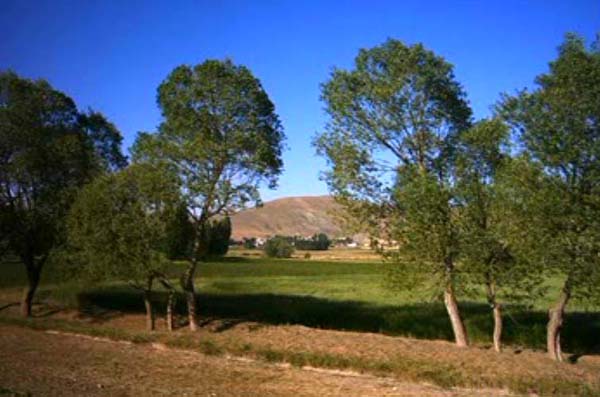 Demirözü