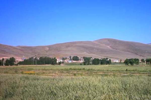 Demirözü