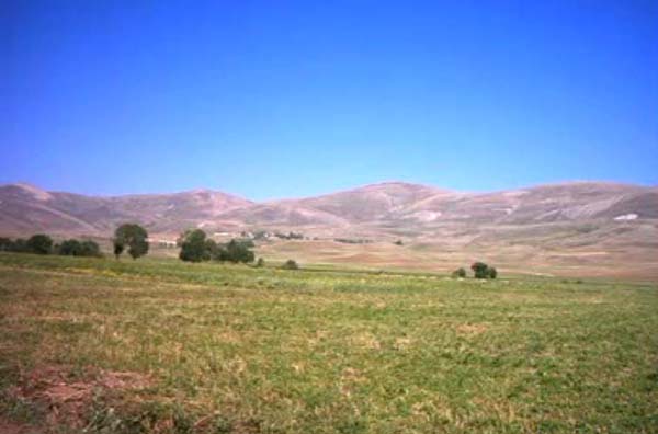 Demirözü