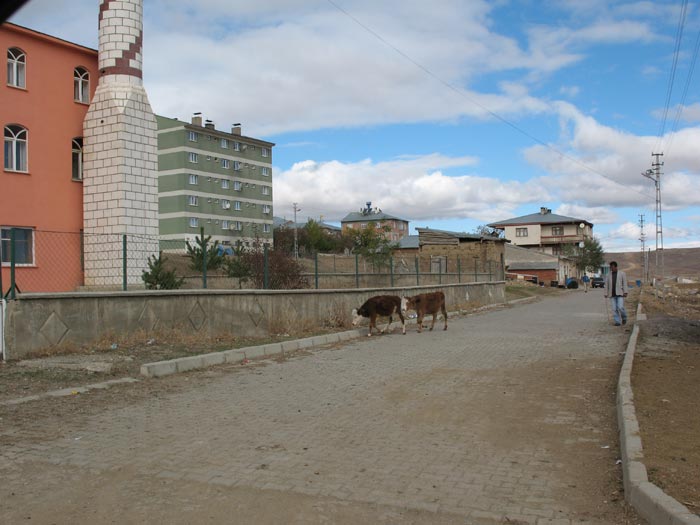 Demirözü