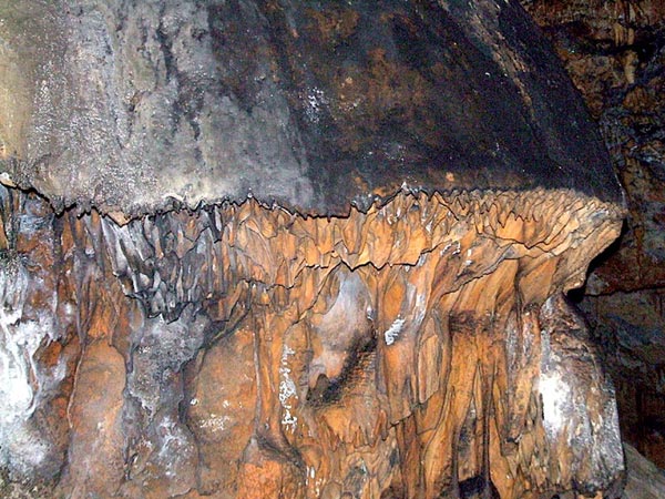Aşağı Çımağıl Köyü (Aşağı Çımağıl)