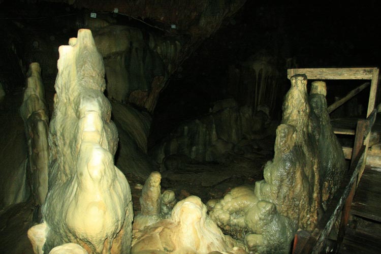 Aşağı Çımağıl Köyü (Aşağı Çımağıl)