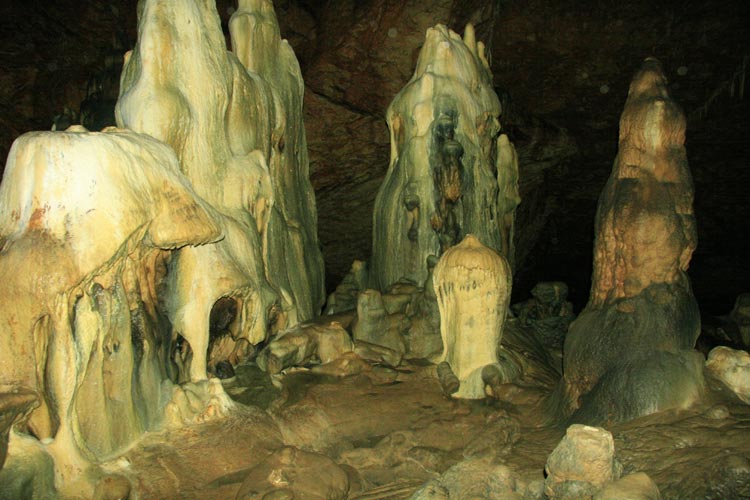 Aşağı Çımağıl Köyü (Aşağı Çımağıl)