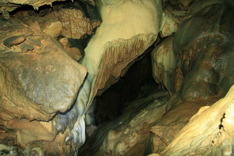 Aşağı Çımağıl Köyü (Aşağı Çımağıl)
