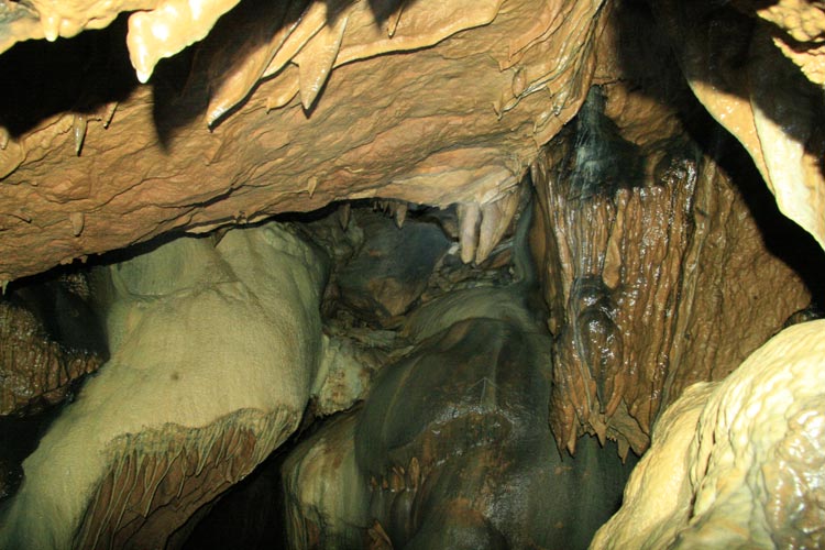 Aşağı Çımağıl Köyü (Aşağı Çımağıl)