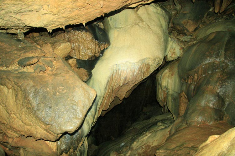Aşağı Çımağıl Köyü (Aşağı Çımağıl)