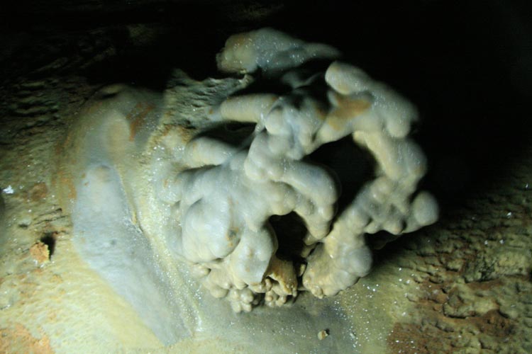 Aşağı Çımağıl Köyü (Aşağı Çımağıl)