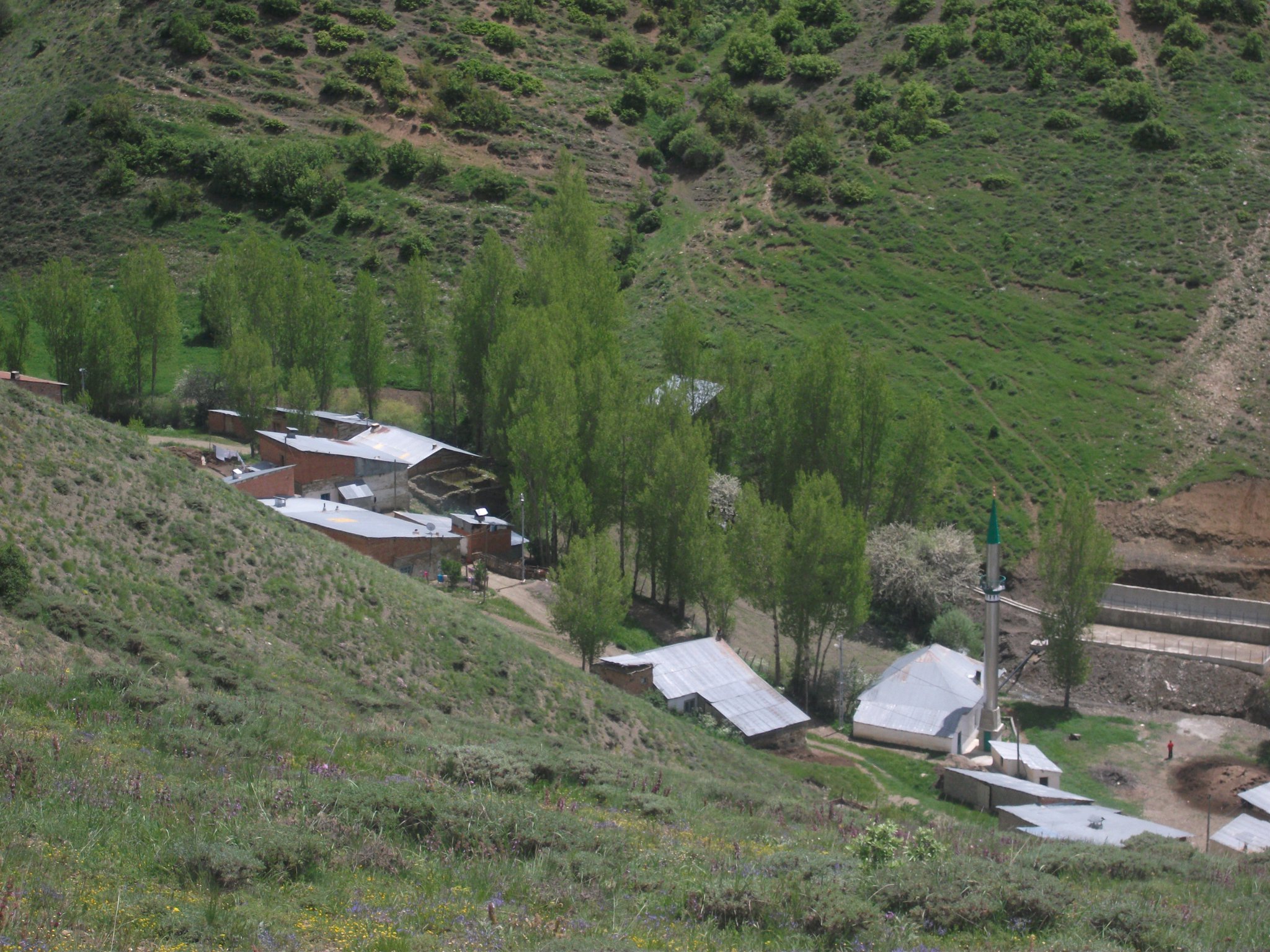 Akduran Köyü (Erkeli)