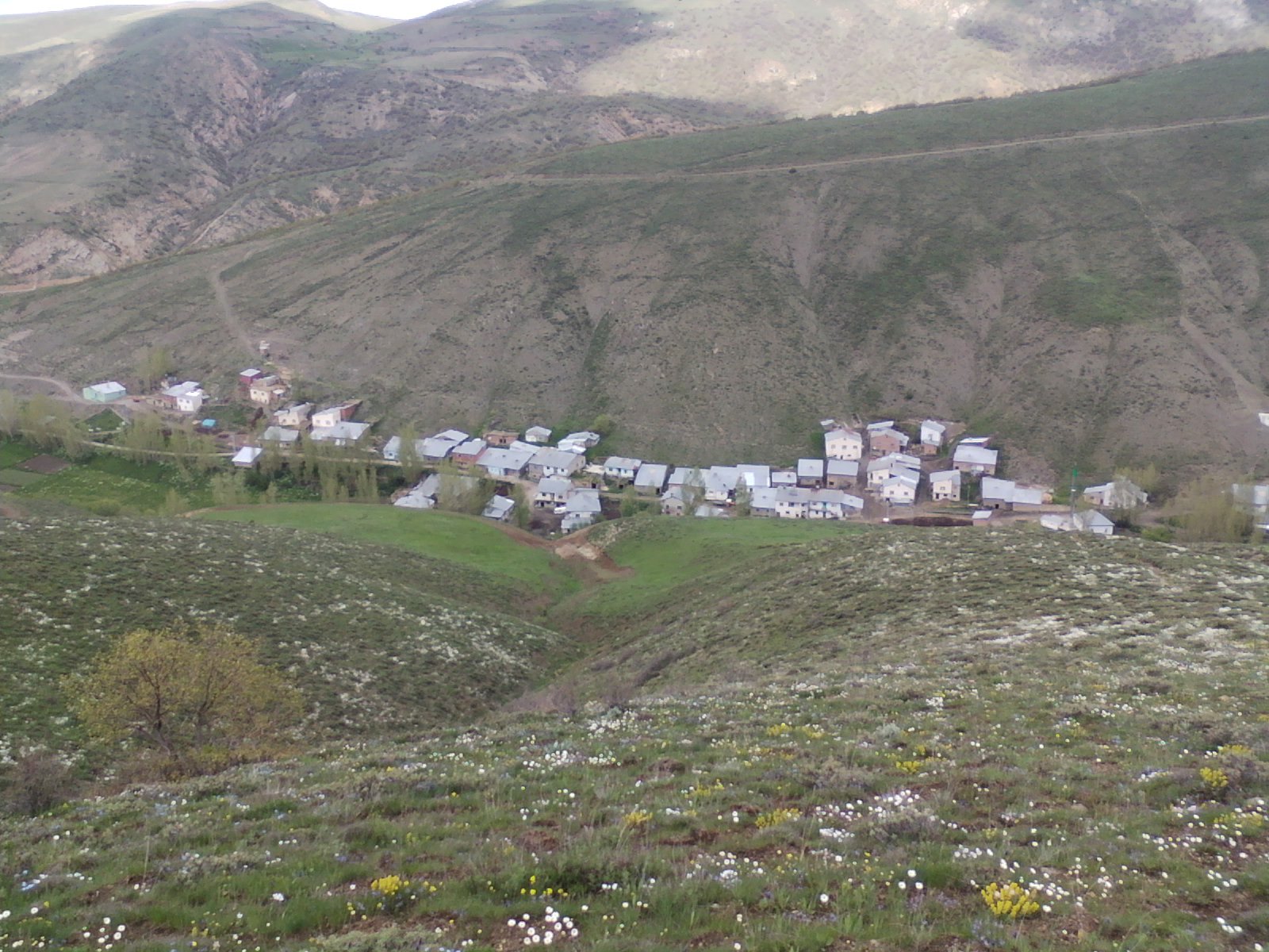 Akduran Köyü (Erkeli)
