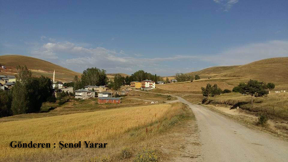 Alıçlık Köyü (Kestesi)