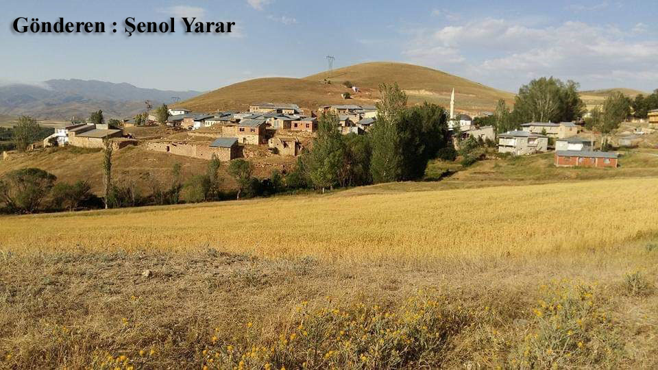 Alıçlık Köyü (Kestesi)