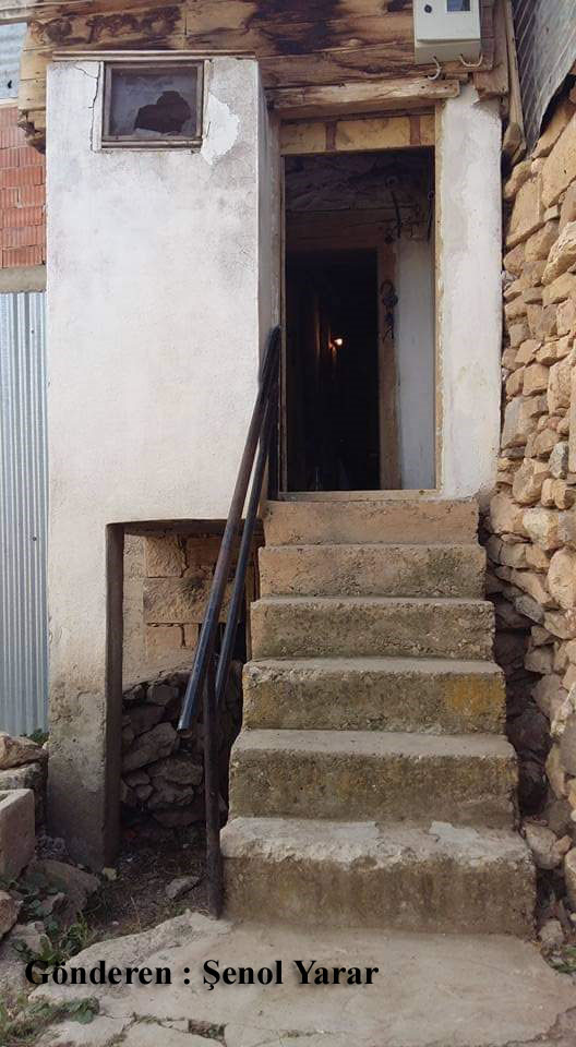 Alıçlık Köyü (Kestesi)