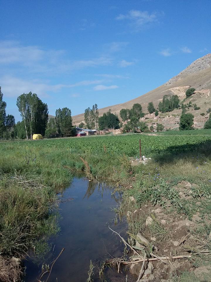 Çakırözü Köyü (Cebre)