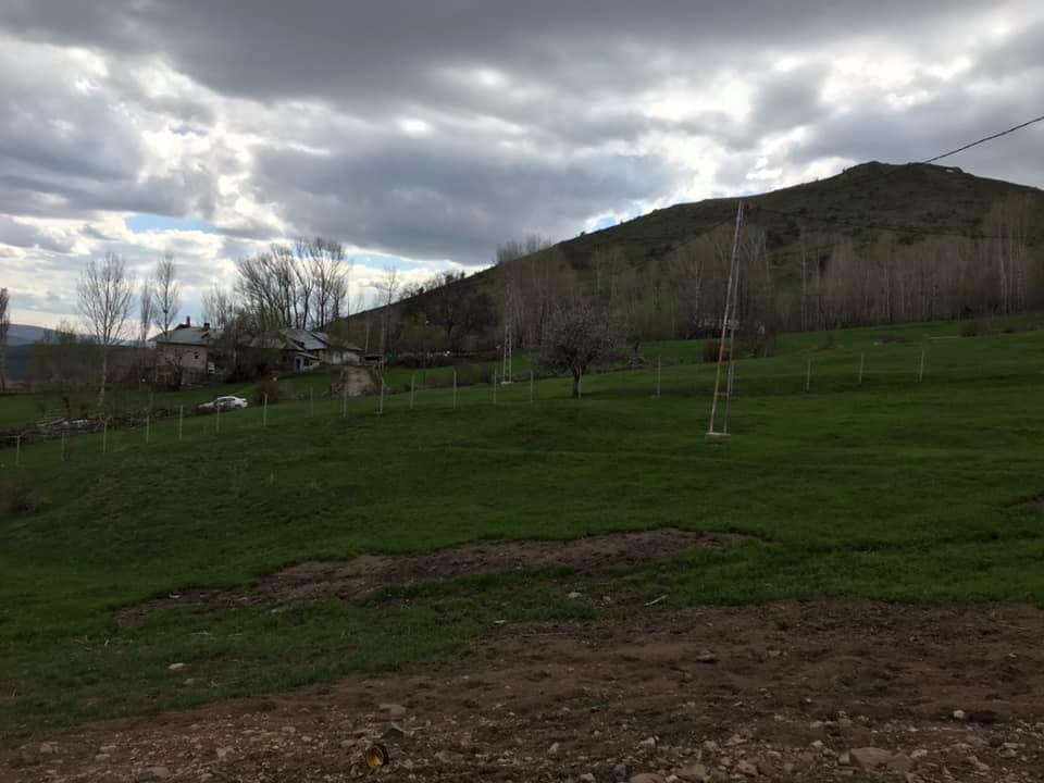 Darıca Köyü (Danzut)