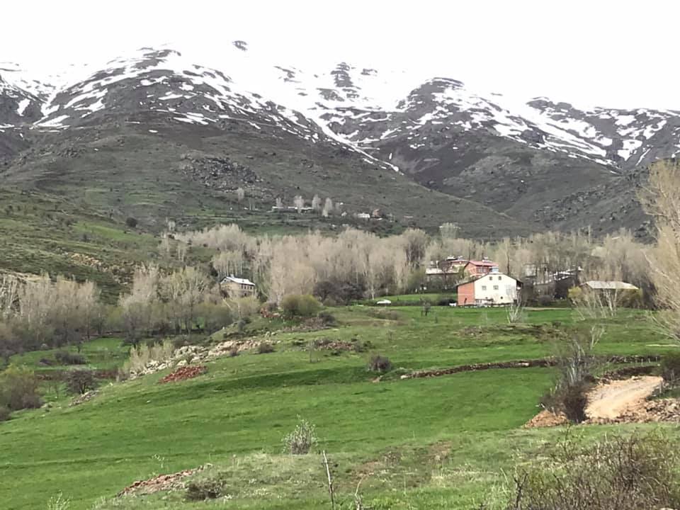 Darıca Köyü (Danzut)