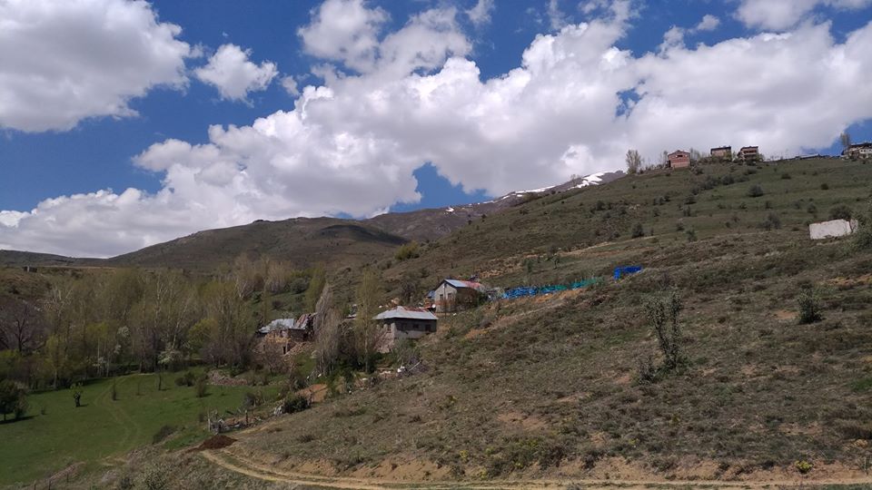 Darıca Köyü (Danzut)