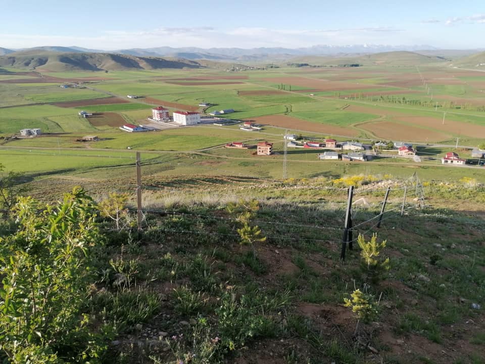Demirözü