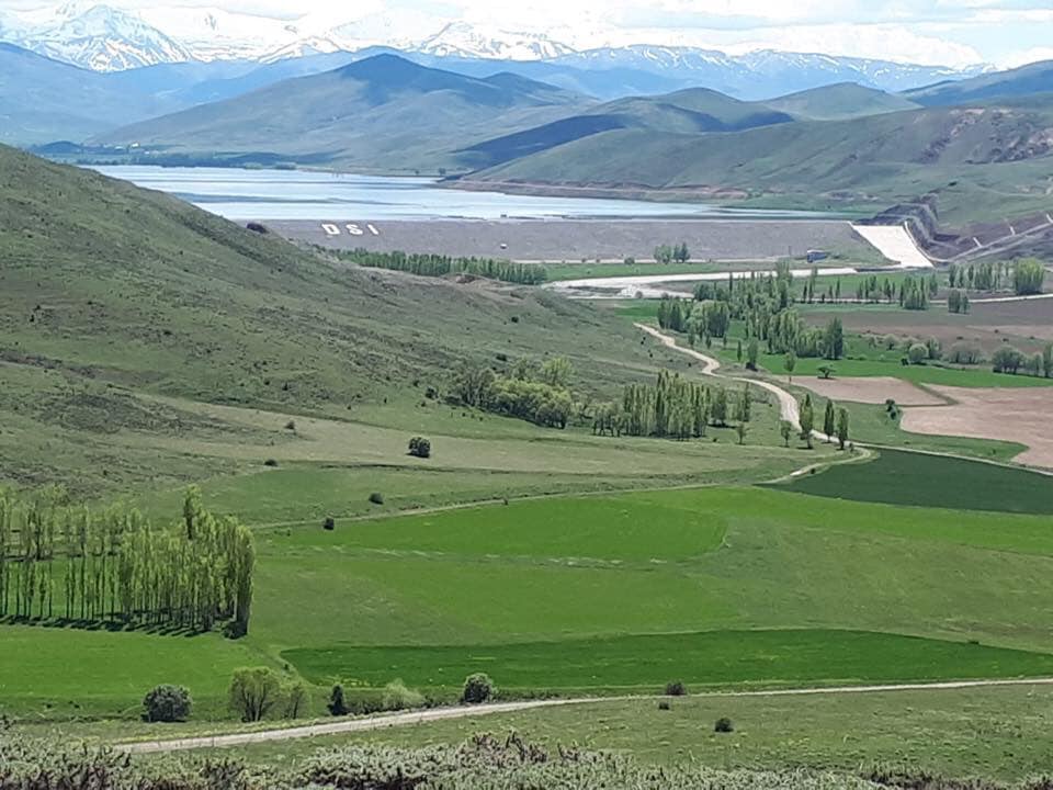 Demirözü