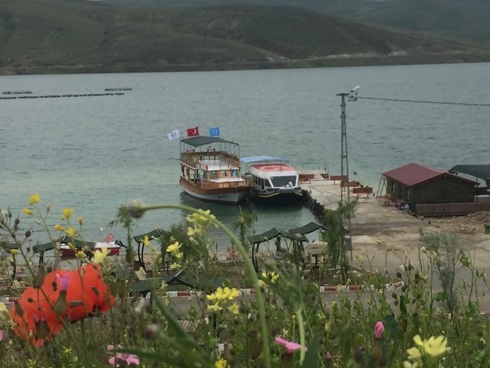 Demirözü