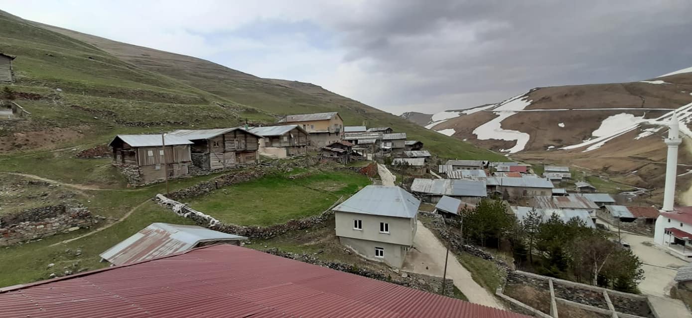 Dumlu Köyü (Henege)