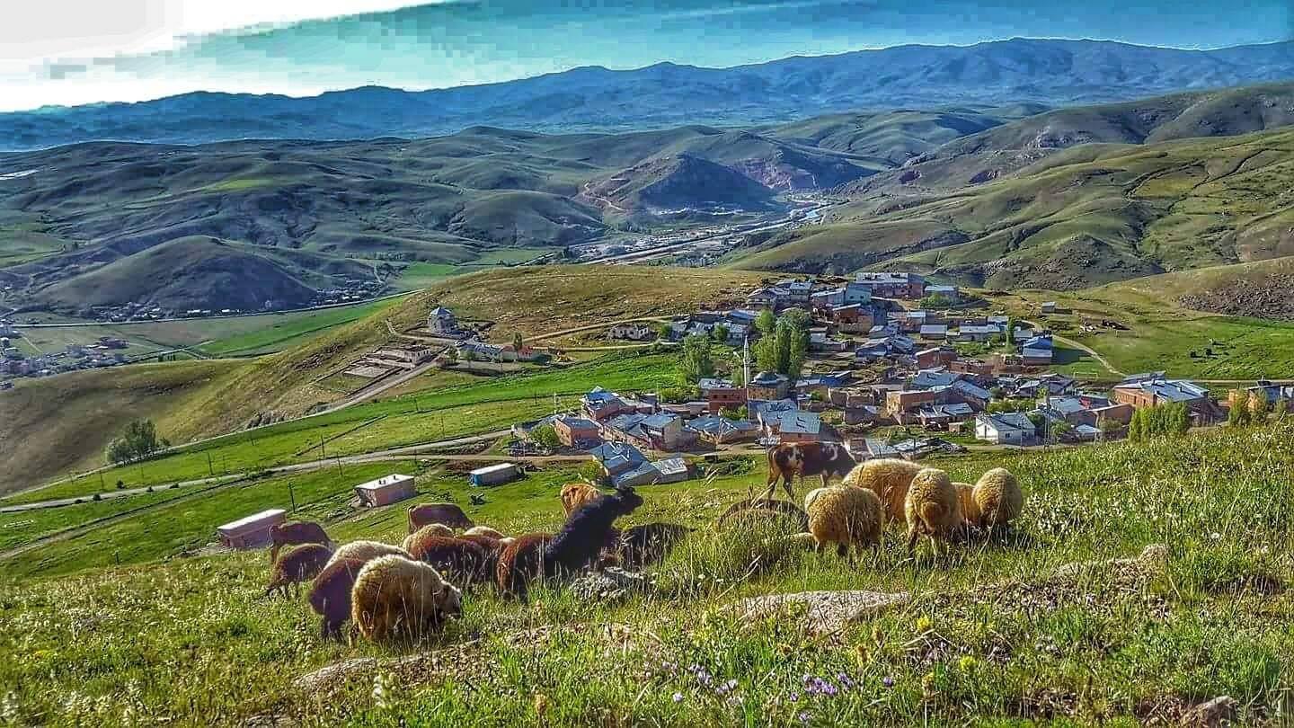 Erenli Köyü (Duduzar)