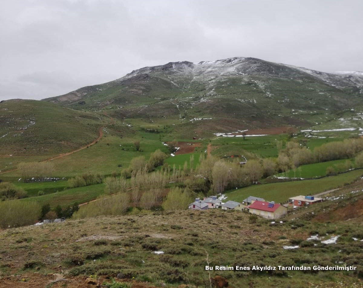 Gökler Köyü (Gökler)