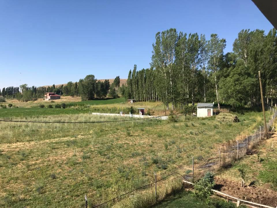 Gümüşdamla Köyü (Zargıdı)