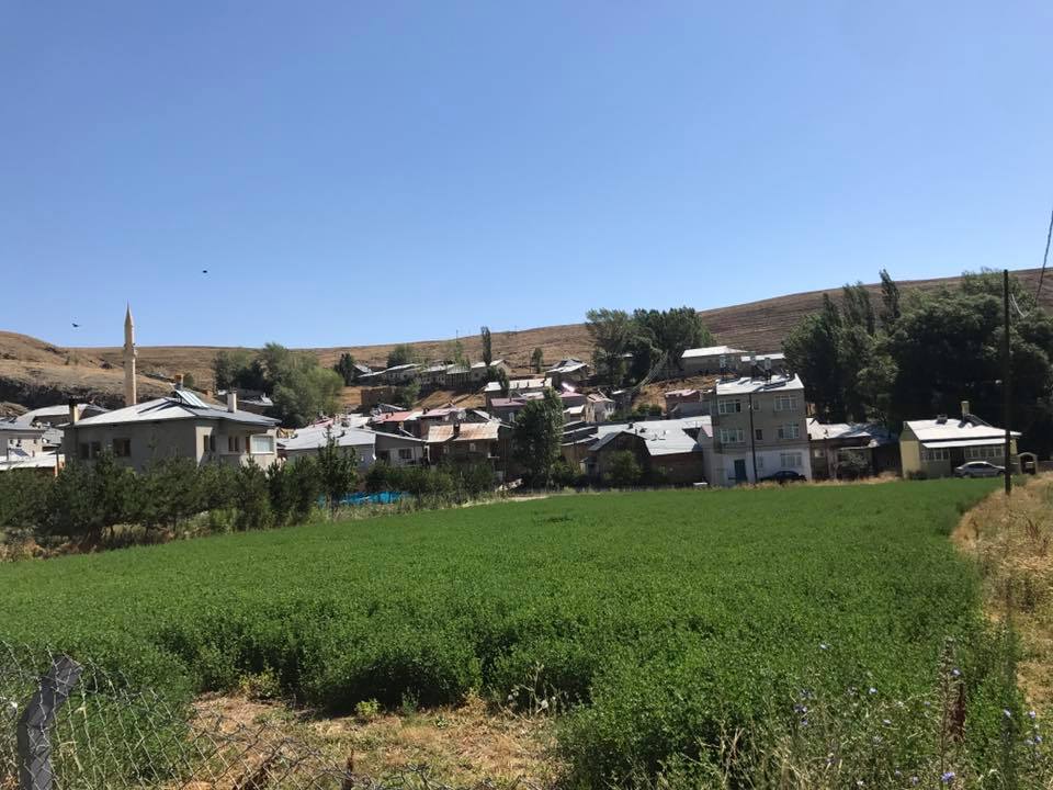 Gümüşdamla Köyü (Zargıdı)