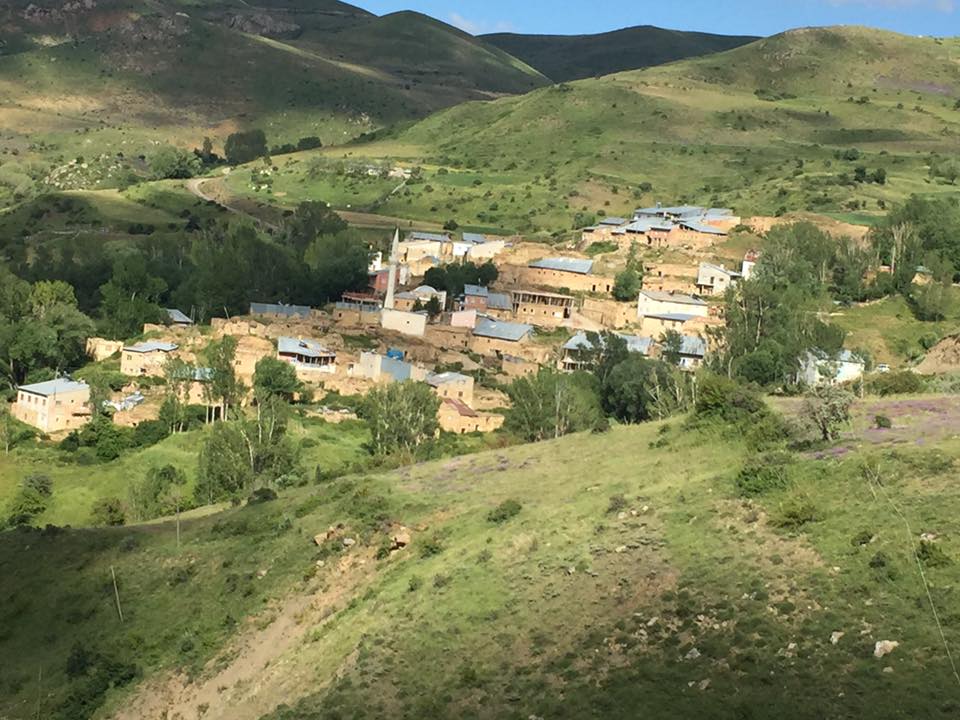 Kavakyanı Köyü (Muşangas)