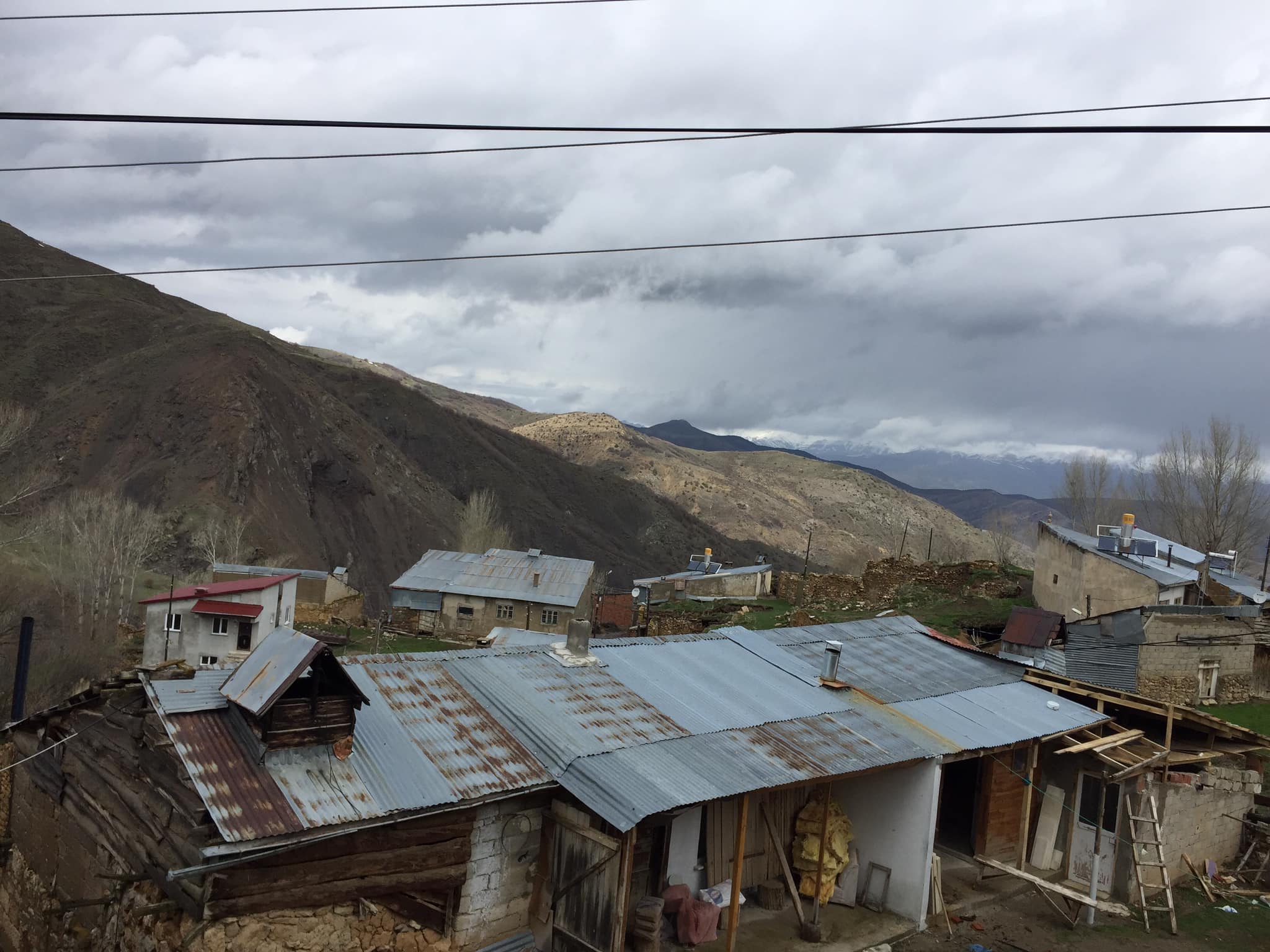 Kavakyanı Köyü (Muşangas)