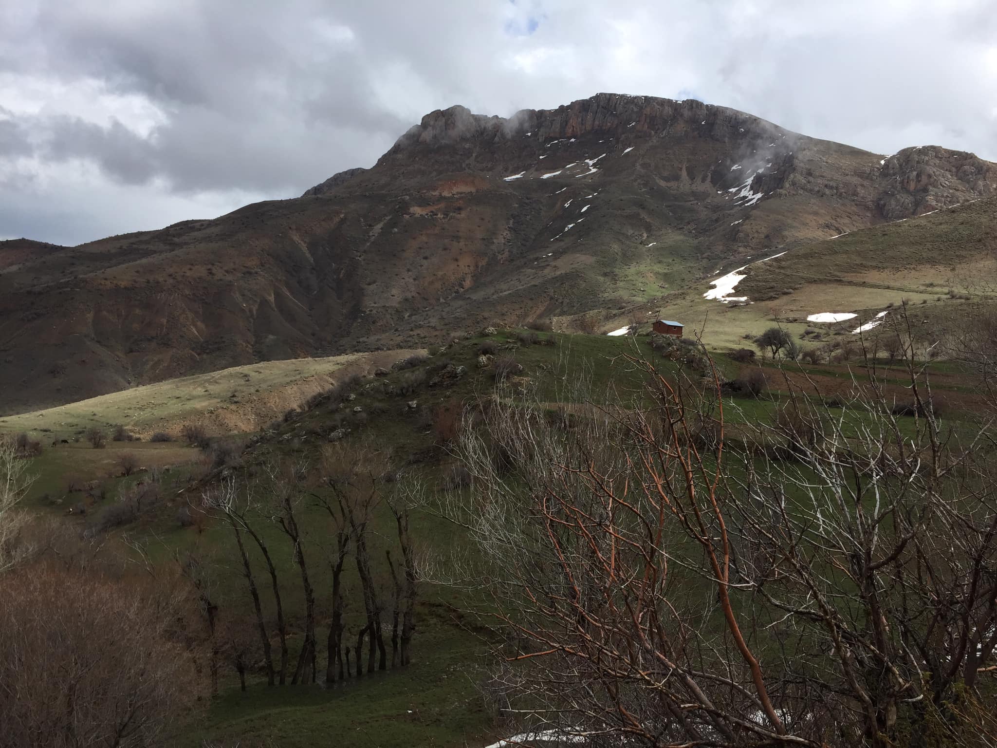 Kavakyanı Köyü (Muşangas)