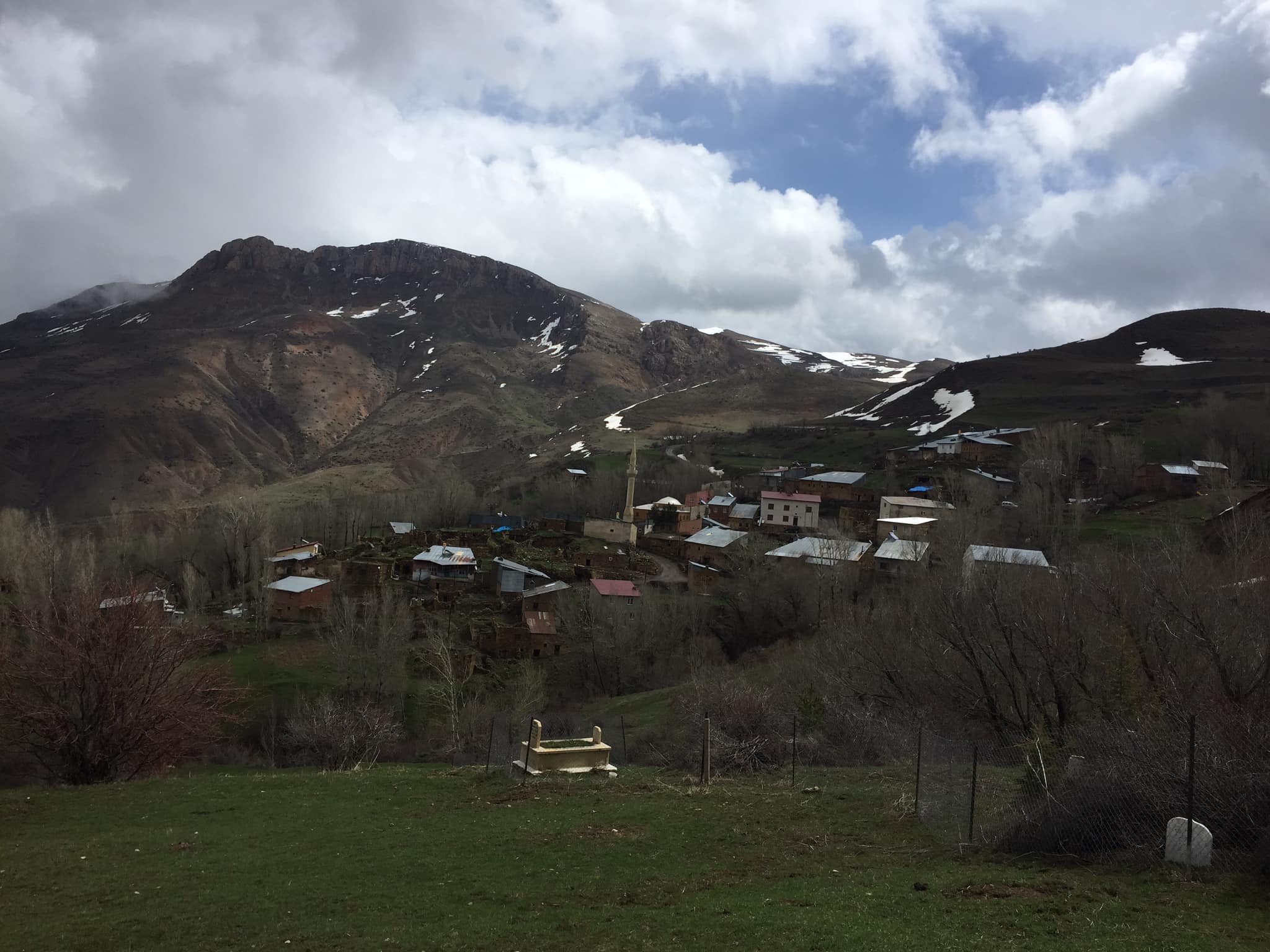Kavakyanı Köyü (Muşangas)