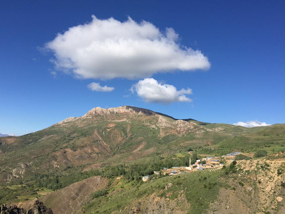 Kavakyanı Köyü (Muşangas)