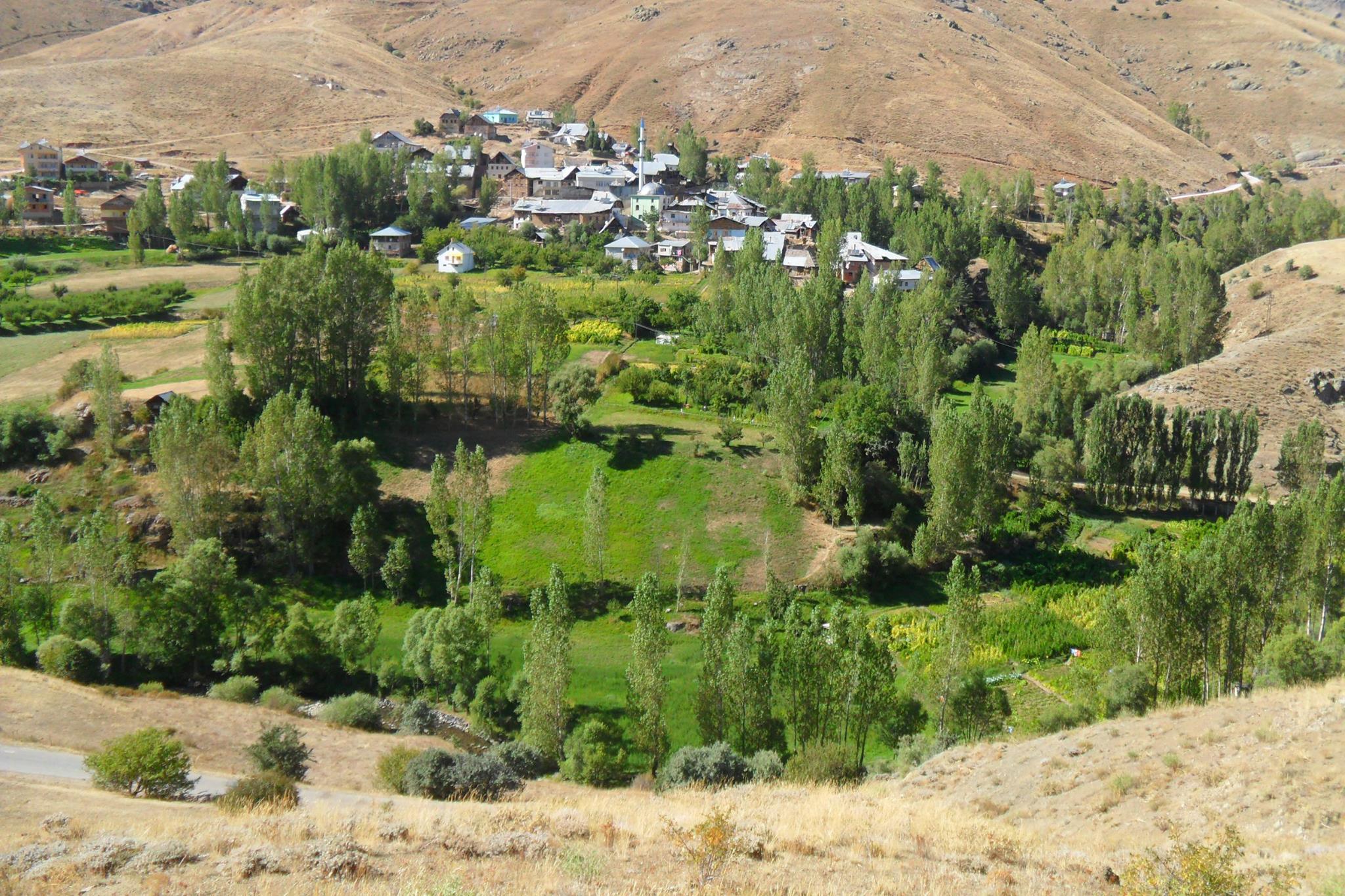 Koçbayır Köyü (Pörge)