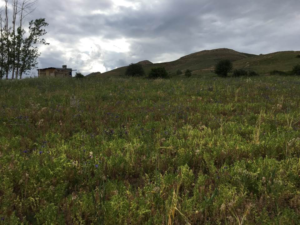 Kurbanpınar Köyü (Hopur)