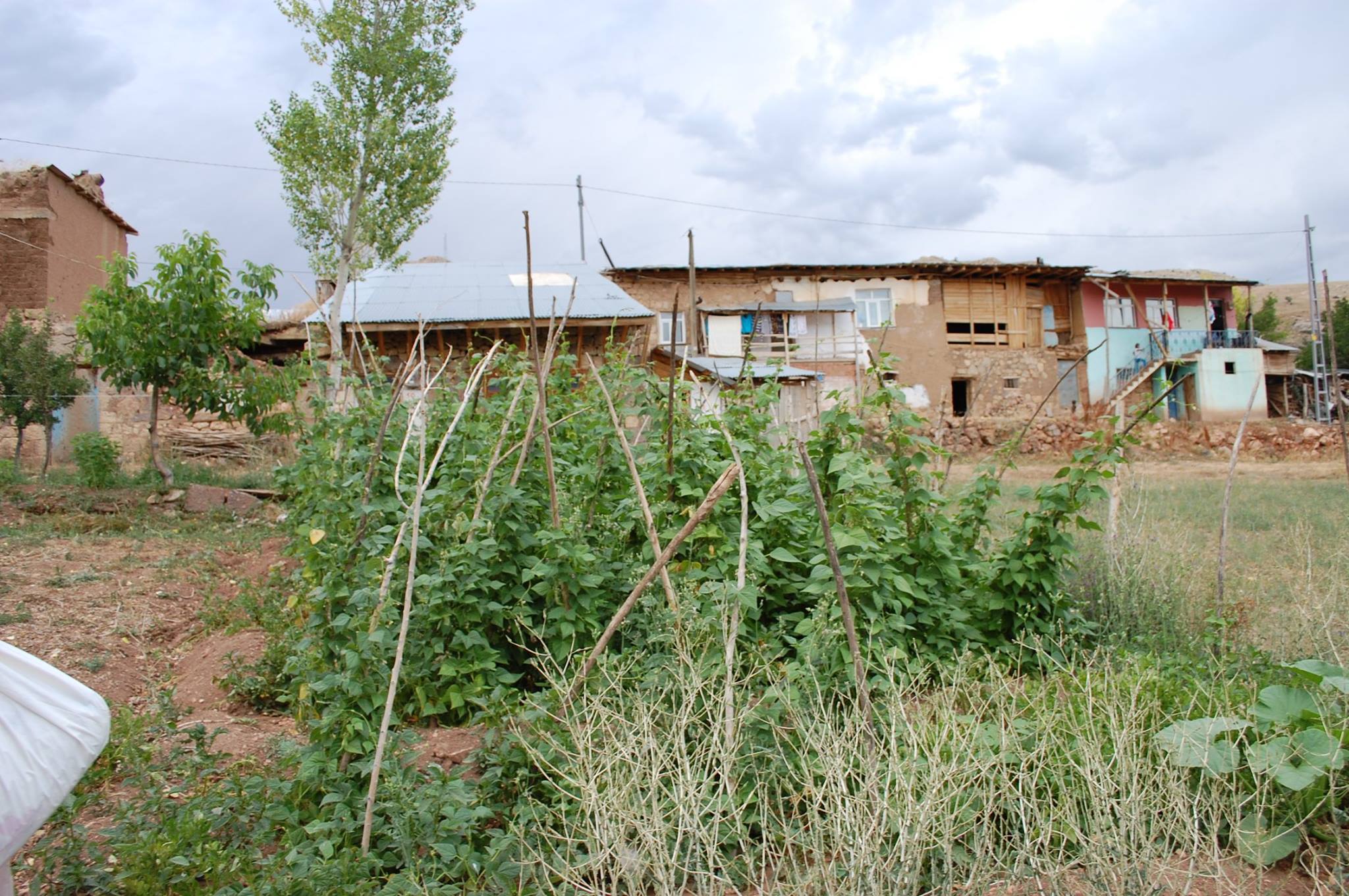 Kurbanpınar Köyü (Hopur)