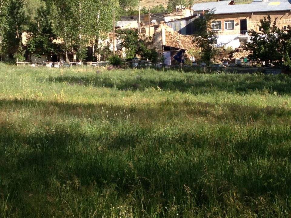 Kurbanpınar Köyü (Hopur)