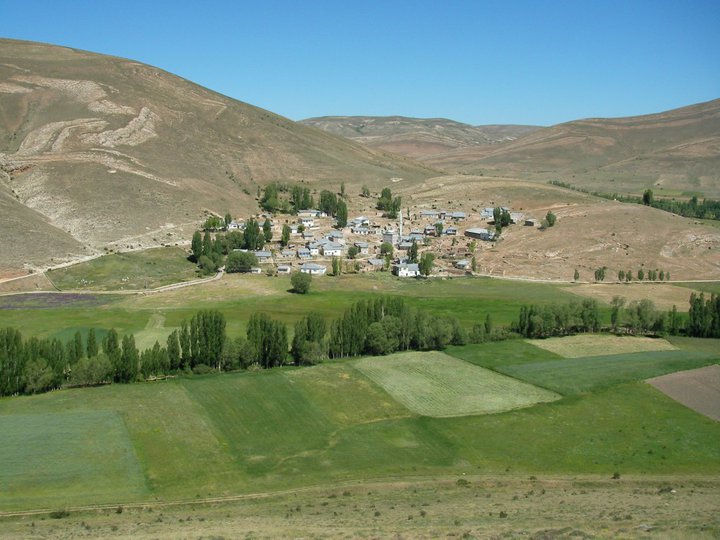 Manas Köyü (Manas)
