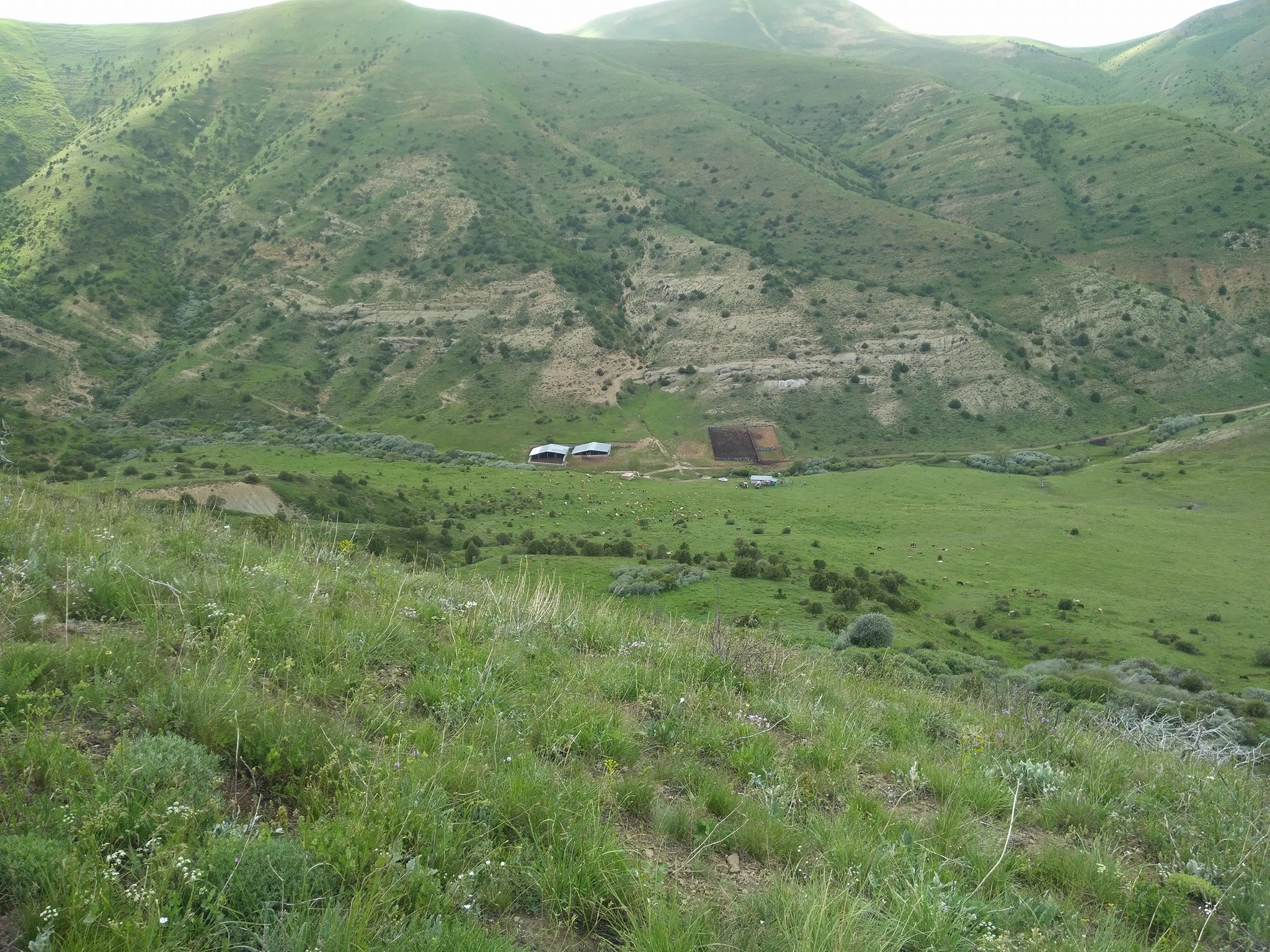 Örence Köyü (Everek)